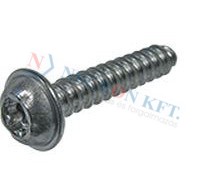 Domborúfejű peremes Torx DELTA PT-csavar 20165